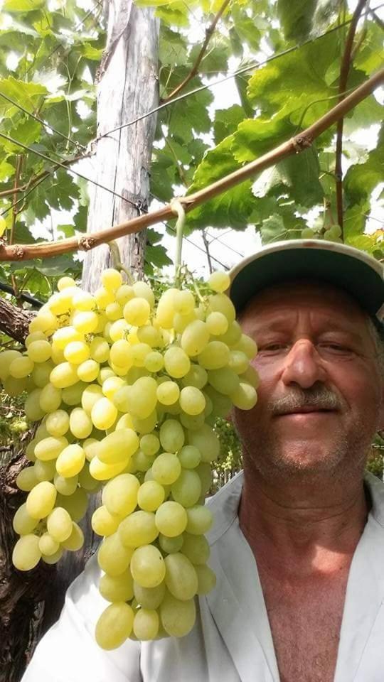 Vacanze Al San Domenico Mola di Bari Eksteriør billede